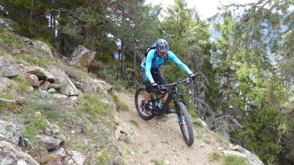 Tails, Trails, Trails...