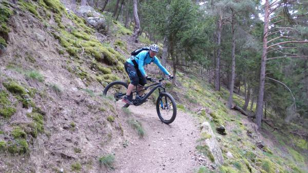 Tails, Trails, Trails...