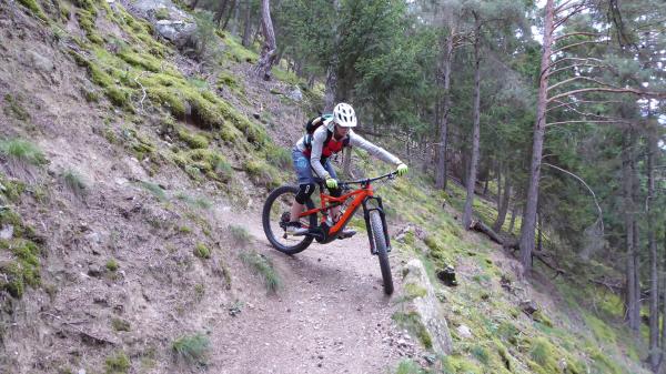 Tails, Trails, Trails...