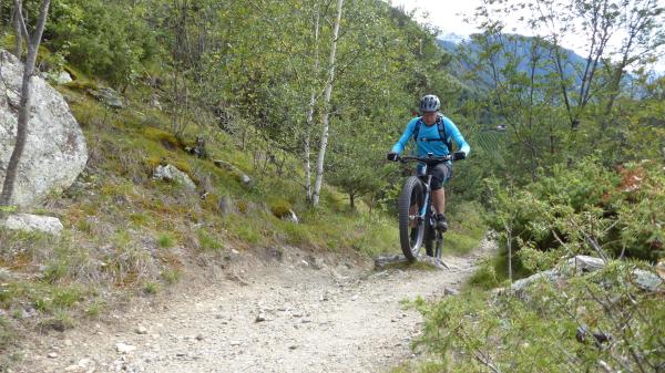 Tails, Trails, Trails...