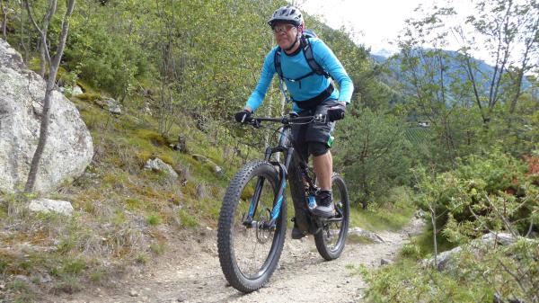 Tails, Trails, Trails...