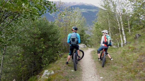 Tails, Trails, Trails...