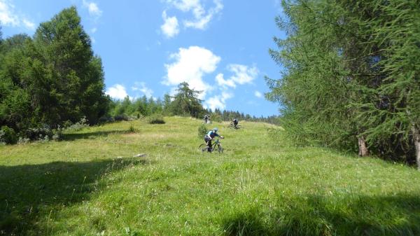 ...Tibet Trail!