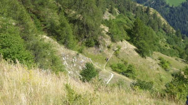 ...Tibet Trail!