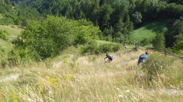 ...Tibet Trail!