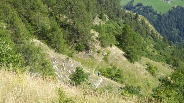 ...Tibet Trail!