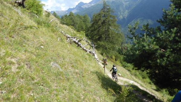 ...Tibet Trail!