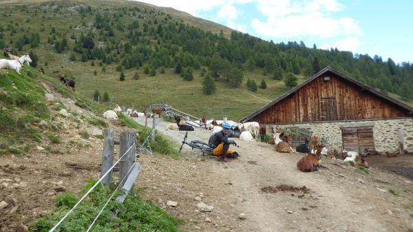 Tibet Trail biking over 3000