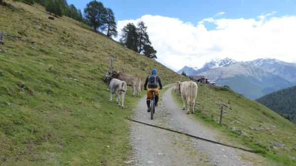 Tibet Trail biking over 3000