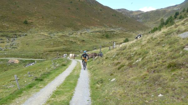 Tibet Trail biking over 3000