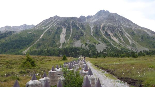 ...Trailballern mit unseren Schweizern! 