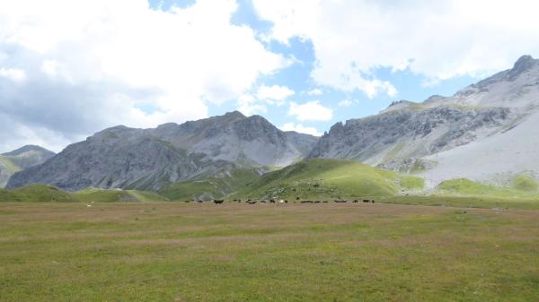 ..Wetter, Tour & Teilnehmer genial!