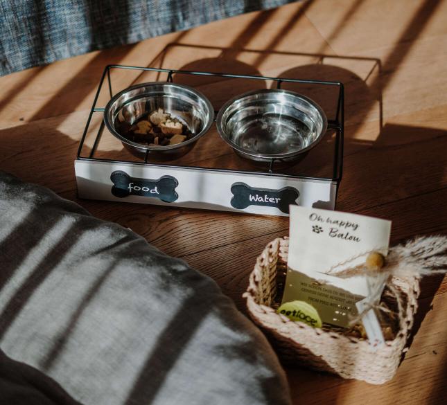 Dein Wellnessurlaub mit Hund in Südtirol