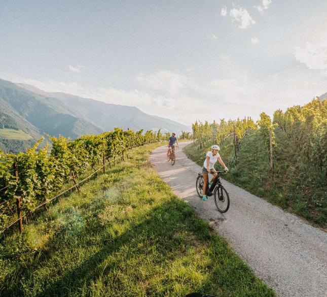 Genussradeln im Vinschgau – Mehr als nur Radfahren