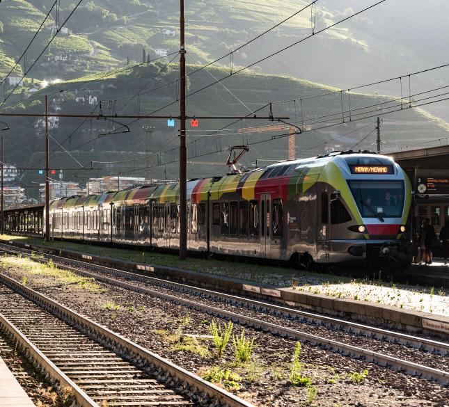 NEU: die VinschgauCard NEU: die VinschgauCard