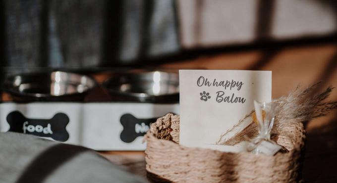 Dein Wellnessurlaub mit Hund in Südtirol