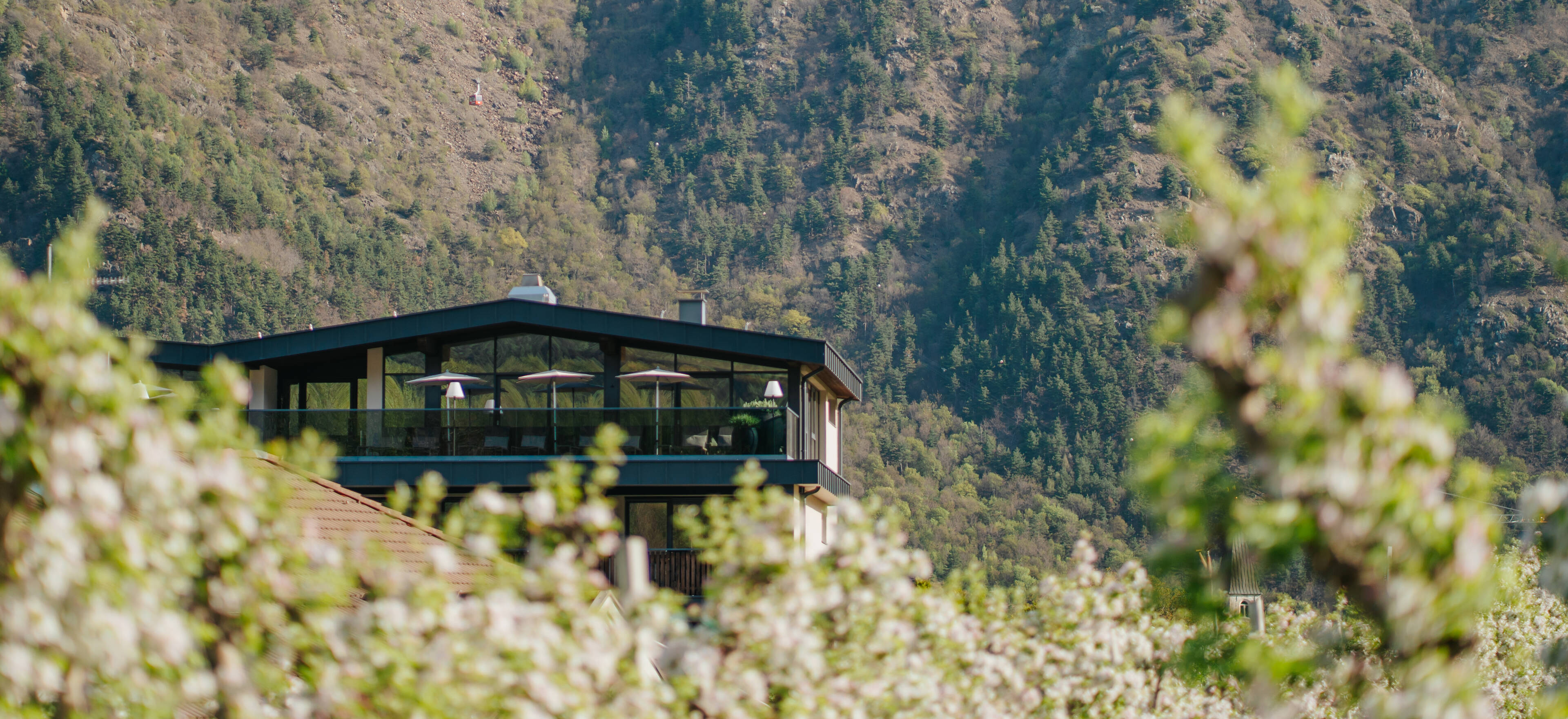 Piris Jagdhof I Dolce Vita Experience